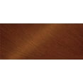 thumbnail image 2 of La Crème Colorante Bigen One Push, 2 of 3