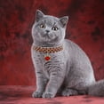 Rhinestone Rhinestone Stretch Collar Pet Accessories Cat And Dog