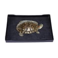 thumbnail image 3 of 1 plato de agua y comida para mascotas., 3 of 3
