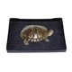 thumbnail image 3 of 1 plato de agua y comida para mascotas., 3 of 3