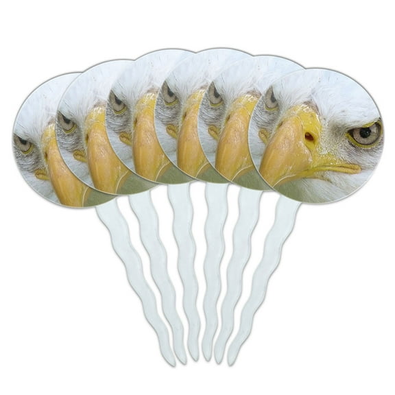 Bald Eagle Staring Raptor Bird of Prey Cupcake Picks Toppers - Set of 6