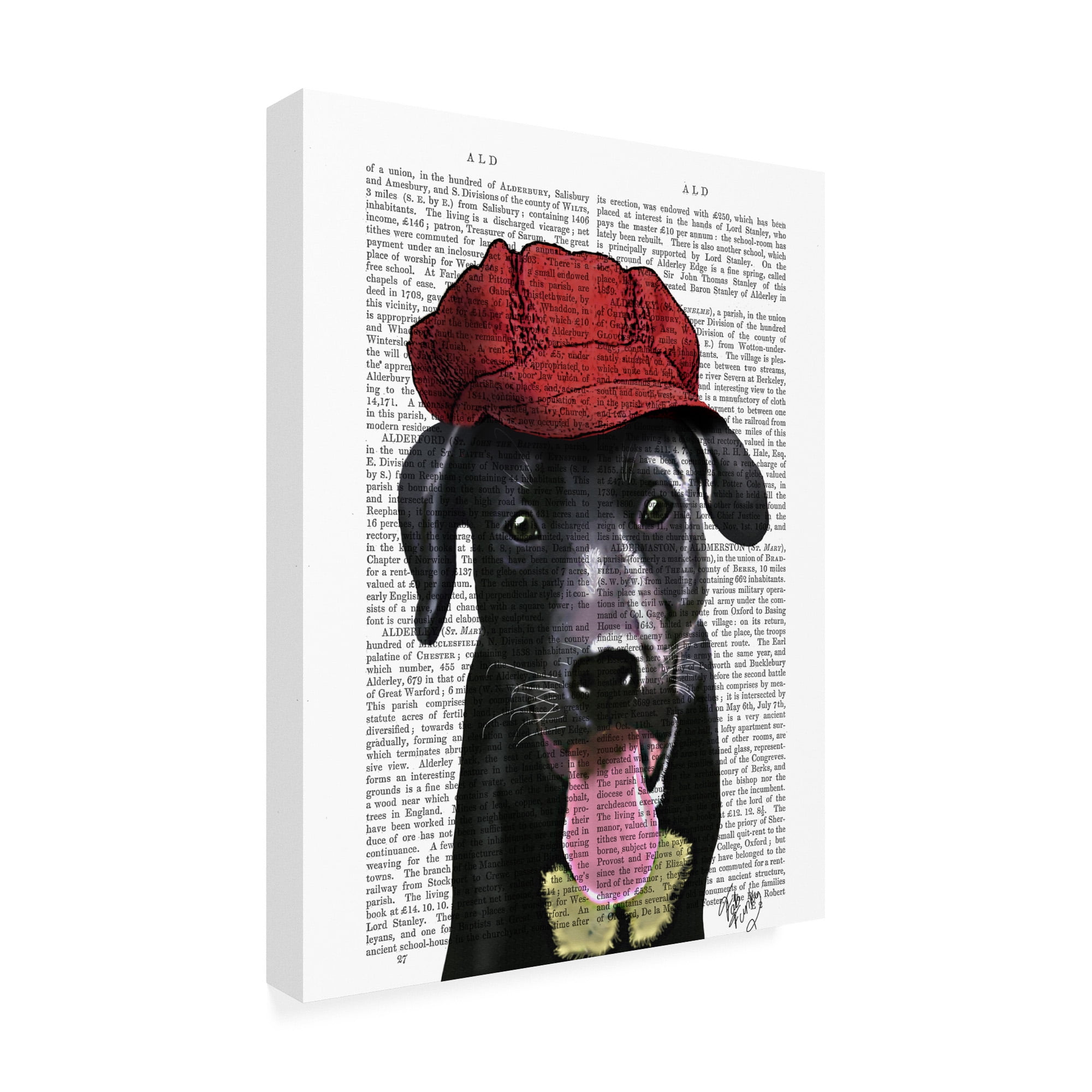 Trademark Fine Art 'Black Labrador With Red Cap' Canvas Art by Fab Funky