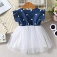 thumbnail image 4 of Bearichfupo Toddler Girls Fly Sleeve Heart Prints Denim Tulle Dress Dance Party Dresses Clothes, Sizes 9-12 Months, 4 of 6