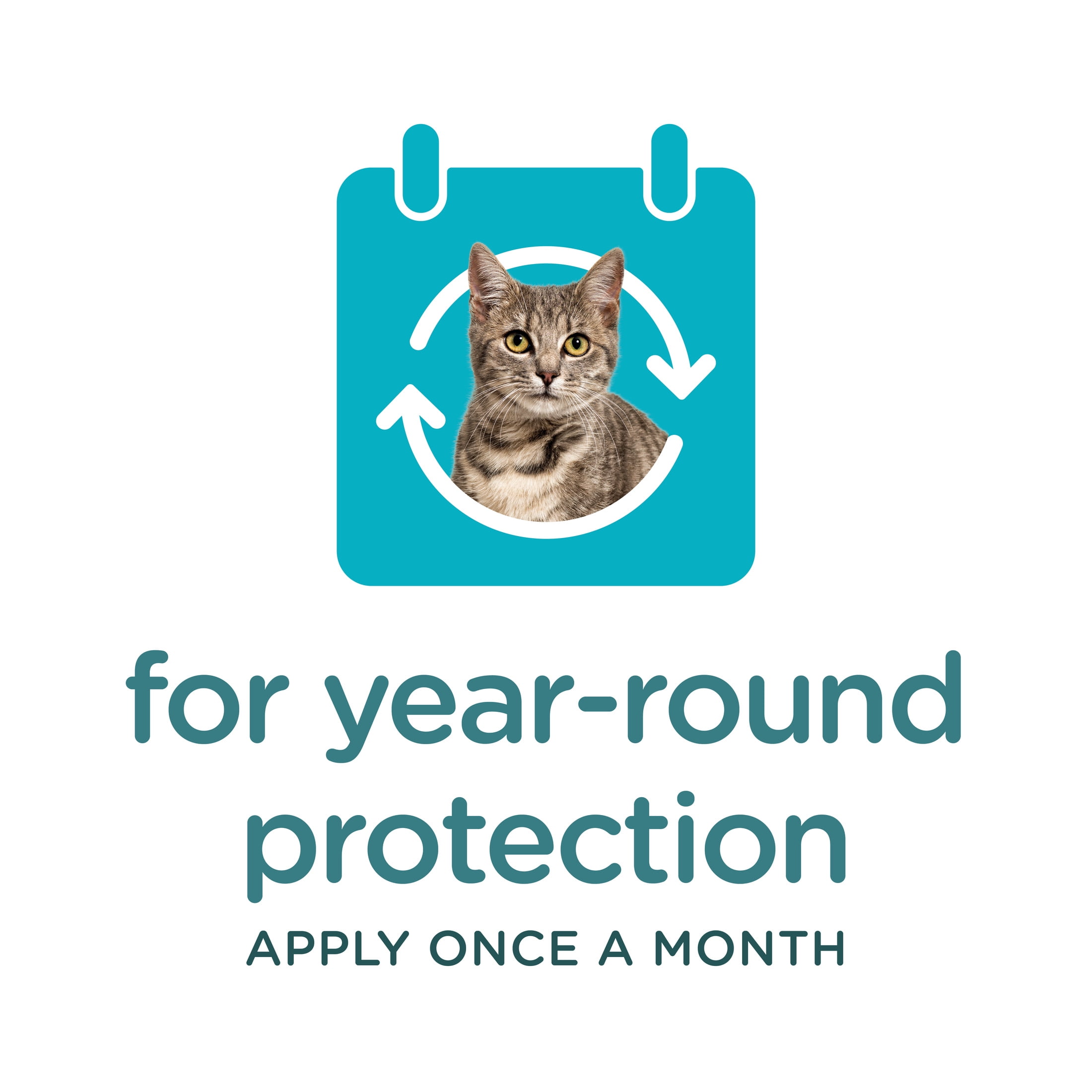 (2 pack) SERGEANT'S GUARDIAN Flea & Tick Topical for Cats, 6 lbs and Over, 3 Count