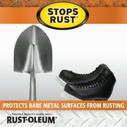 Rust-Oleum 224284 Stops Rust 10.25 oz Rust Inhibitor Spray, Clear