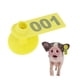 thumbnail image 5 of Etiqueta Animal, Etiqueta De Oreja De Ganado Resistente A La Decoloración TPU Resistente Para Perro Para Cabra, 5 of 7