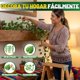 thumbnail image 4 of Enredaderas Artificiales, 36 Tiras Decoración de Plantas Artificiales, Hiedra Falsa Colgando Pared Habitación, Fiestas, Sofás, Paredes, Ventanas, Jardines, Bodas, 4 of 4