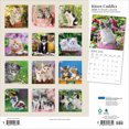 thumbnail image 2 of Kitten Cuddles | 2026 12x24" (Hanging) Monthly Square Wall Calendar | Plato, 2 of 9