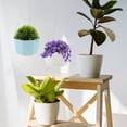 thumbnail image 4 of unbranded 3Jgo Cestas Colgantes Para Plantas Decorativas Interiores Y Exteriores Fácil De Usar, 4 of 8