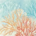 thumbnail image 2 of Coral Reef IV Poster Print by Cynthia Coulter, 2 of 2