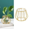 thumbnail image 4 of 3D Geometric Tabletop Flower Vase, Terrarium Air Plant Holder Glass Display Planter Table Centerpiece Flower Pot Style01, 4 of 8