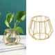 thumbnail image 4 of Jarrón de hierro de estilo nórdico con flores, decoración para plantas, decoración de mesa Style01, 4 of 9