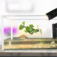 thumbnail image 2 of KAKOWELY reptile tank decor Terrarium Faux Plant Model Faux Plant Model Decor Reptile Terrarium Faux Plant Reptile Resin Plant Model Reptile Plant Decoration, 2 of 4