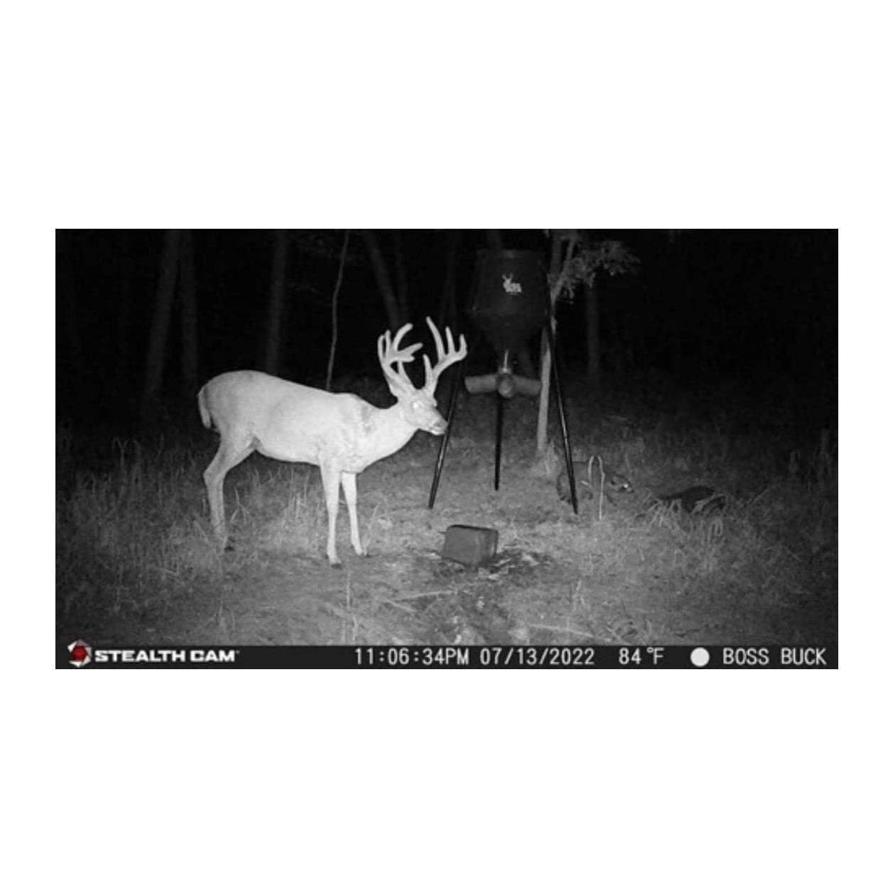 stealthcam g42 no-glo trail game camera with sony 16gb memory card bundle