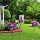 thumbnail image 3 of Molino Viento Láser Giratorio para Jardín Repelente Pájaros Multicolor 4 Uds., 3 of 9