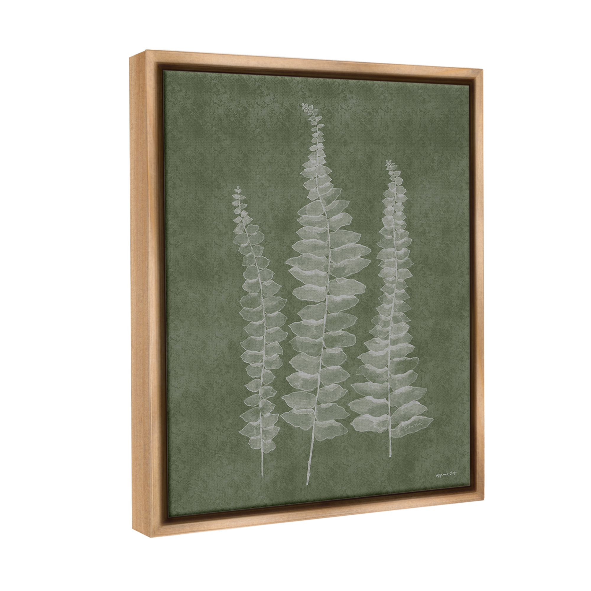 Stupell Industries Green Rustic Botanicals Botanical & Floral Painting Brown Floater Framed Canvas Art Print Wall Art, 25 x 31