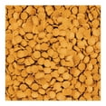 thumbnail image 4 of Tetra ShrimpWafers Catfish & Loaches Fish Food, 86g, 4 of 10