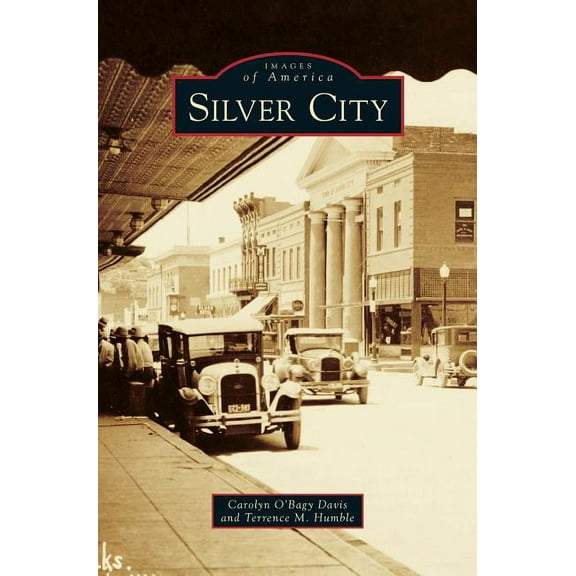 Silver City (Hardcover)