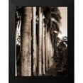 thumbnail image 2 of Blue, Cyril 15x18 Black Modern Framed Museum Art Print Titled - King Palms, Mauritius, 2 of 5