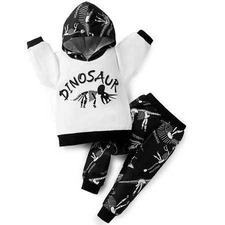 

Toddler Boys Printed Outfits Set Long Sleeve Tops Sweatshirt Hoodies +Pants Clothes - White Dinosaur 2-3 Years