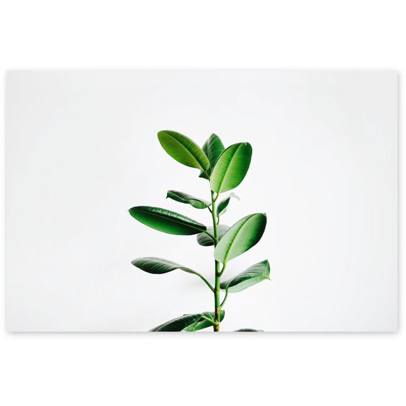 Awkward Styles Green Leaves Poster Stylish Room Decor Inspirational Poster Prints Green Foliage Room Decor Green Grass Unframed Art Inspirational Vinyl Art Beautiful Nature Art Home Decor Ideas