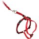 thumbnail image 1 of Arnés y correa elástica para gatos PetSafe Come With Me Kitty, 1 of 1