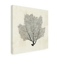 thumbnail image 2 of Grace Popp 'Sea Fan Sketch I' Canvas Art, 2 of 3