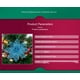 thumbnail image 4 of adorno de árbol de Navidad con purpurina de nochetia, decoración de flores de Navidad(Ejército Verde)(), 4 of 4