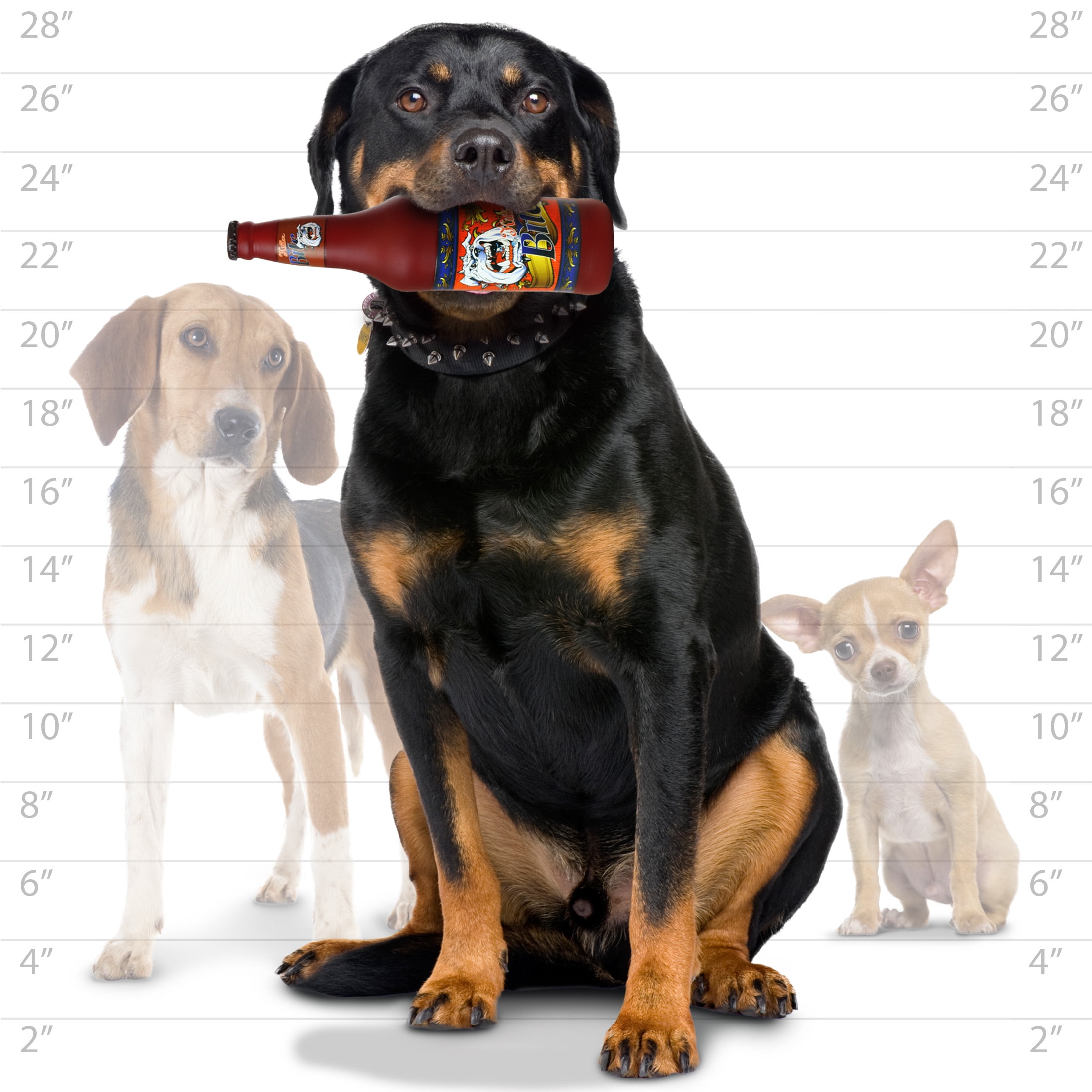 Silly Squeakers Beer Bottle Killer Bite Durable Squeaky Vinyl 2-Pack Dog Toy