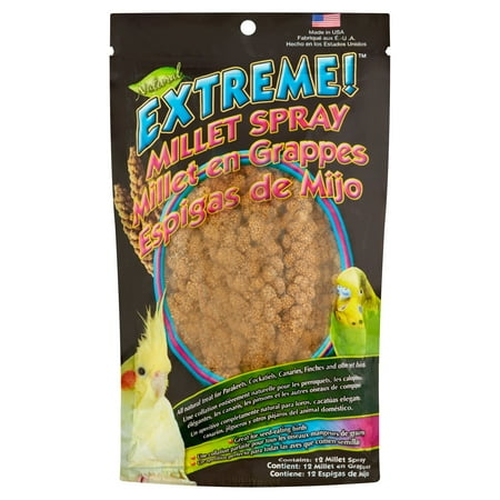 UPC: 0042934423982 | Brown s Extreme Natural Millet Spray Bird Treats  12 count