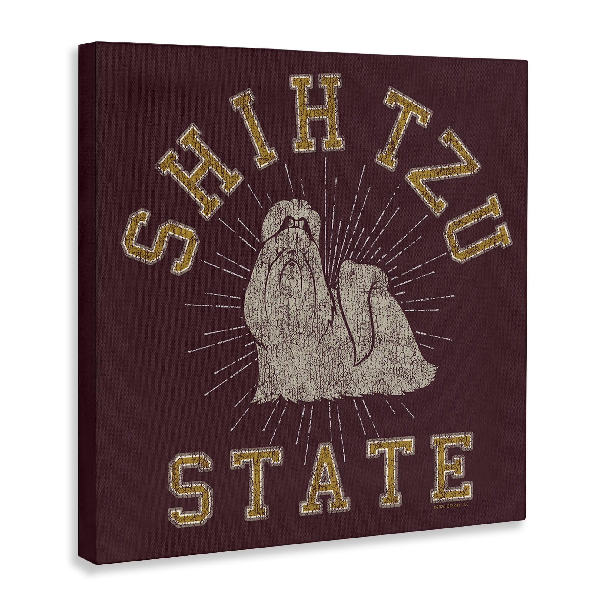 Stupell Industries Shih Tzu State Varsity Novelty & Humor Painting Wrapped Canvas Art Print Wall Art, 36 x 36