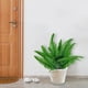 thumbnail image 4 of Simulated Persian Grass Small Persian Leaves Simulated Flowers Fern Leaves Bouquet Simulated Plants Home Decoration, 4 of 4