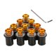 thumbnail image 1 of Tornillo universal para parabrisas dorado Oro, 1 of 8