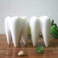 thumbnail image 2 of Teeth Pots White Ceramic Succulent Planter Pots/Mini Flower Plant Containers Cute Animal Shaped Cartoon Planter White, 2 of 7