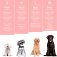 thumbnail image 2 of GASTROPOD 2026 New Adjustable Jacket for Small Medium Large Dogs, Dog Vest Wrap for Calming, for Separation, Thunderstorm, Travel, 2 of 6