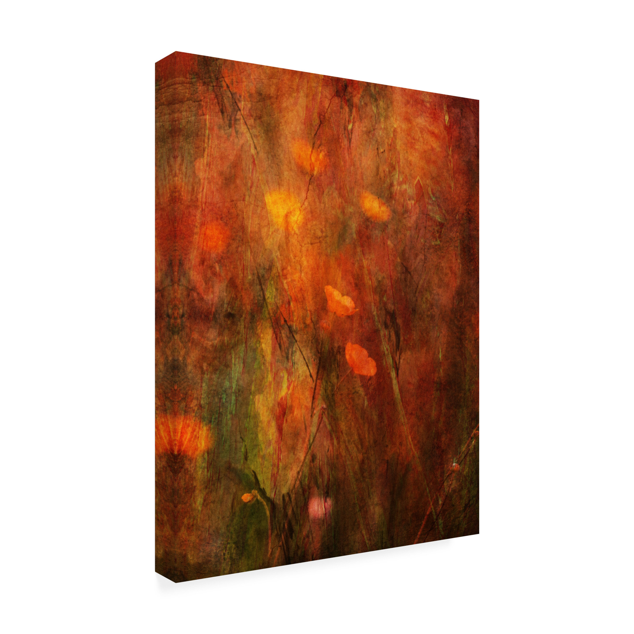 Canvas Wall Art - Delphine Devos 'Warm' Wall Art for Living Room, Bedroom, or Office D?cor by Trademark Fine Art - 14 x 19 Inches