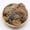 Coffee, variant on PLJFXXM 10g Preserved Reindeer Moss, Gray Decorative Artificial Fake Moss for Potted Plants Indoor Crafts Lichen Centerpieces Decor
