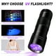 thumbnail image 3 of Linterna LED UV de 395 nm con luz negra LED, incluye 3 pilas AAA para detectar manchas en ropa, alfombras y orina de mascotas., 3 of 5