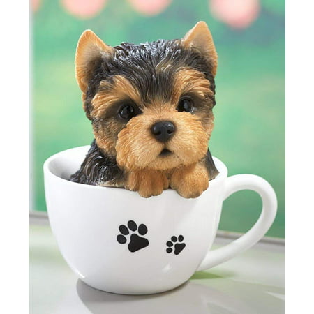 Teacup Pups - Yorkie, Brings their personality to life By The Lakeside