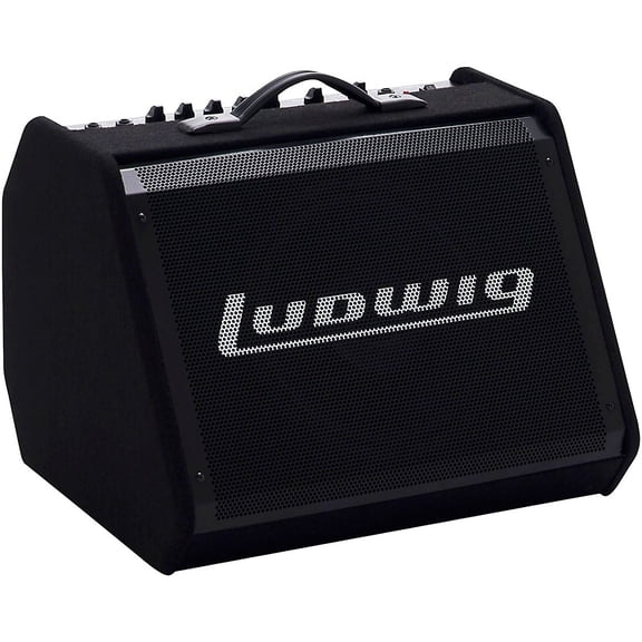 LEA100 100W Electronic Drum Amplifier