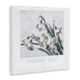 thumbnail image 2 of Stupell Industries Traditional Paradise Alley White Spring Blooms Canvas Art, 17 x 17, by Jadei Graphics, 2 of 8