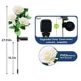 thumbnail image 4 of 2Pcs Upgraded LED Solar Lights Outdoor Waterproof with 5 Roses, Soft Light, Charging in The Daytime and Light Up at Night for Patio Pathway Courtyard Garden Lawn (White), 4 of 6