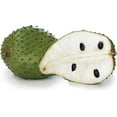 thumbnail image 5 of Soursop Tree - Pawpaw Plant - Live Tree in a 1 Gallon Pot - 1-2 Feet Tall - Annona Muricata - Tropical Edible Fruit Bearing Tree, 5 of 5