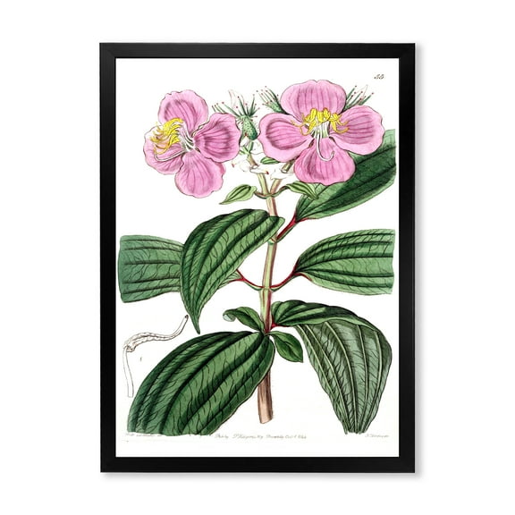 Designart 'Ancient Plant Life XXIII' Traditional Framed Art Print