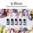 thumbnail image 5 of Edens Garden Jasmine Essential Oil Blend – 100% Pure Premium Grade, Natural & Synthetic-Free, Undiluted for Hair Care, Home Diffusers, Skin, Aromatherapy, Massage & Humidifiers 10 ml (.33 fl oz), 5 of 9