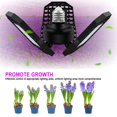 thumbnail image 3 of POINTERTECK LED Grow Lights  144LEDs E27 Fan Shape Warm Lights Full Spectrum LED Grow Lights Sunlight Growing Lamp for Greenhouse, 3 of 9