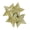 Golden, variant on D-GROEE 12Pcs/Set Christmas Tree Star with Lanyard Decoration Hanging Ornament, Christmas Tree Ornament Golden Powder Star Ornament Wall Door Hanging Decoration Party Decor