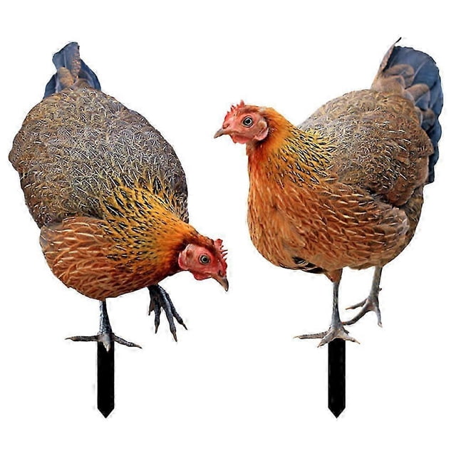 2pcs Garden Chicken Stakes Garden Chick Decoration Acrylic Chick Signs Garden Decoration