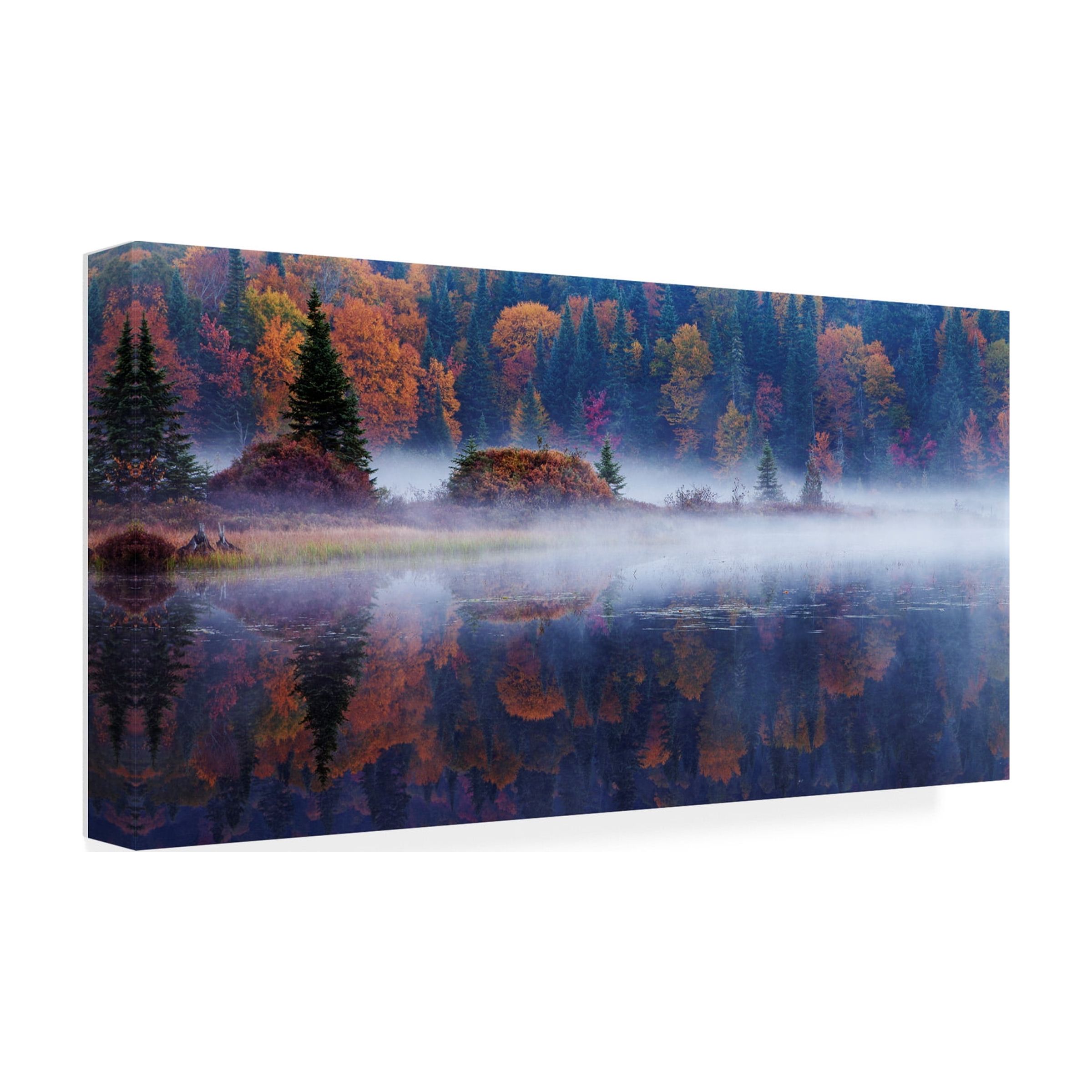 Mircea Costina 'Laurentian Forest' Canvas Art