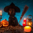 thumbnail image 4 of Calabaza De Halloween Con Temporizador De Control Remoto Con Pilas Led Calabaza Linterna Luz Decoración De Halloween Advancent HA043785-02, 4 of 6
